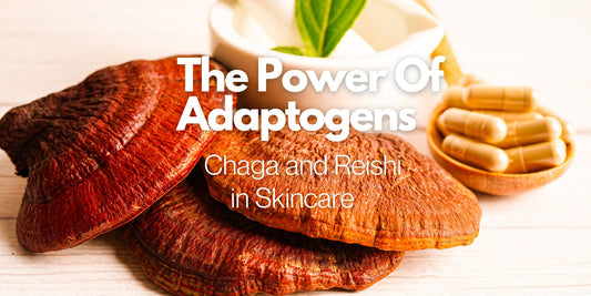 Beauty Trends 2024 - Adaptogens In Skincare