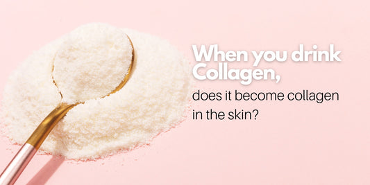 when you drink collagen does it become collagen in the skin?